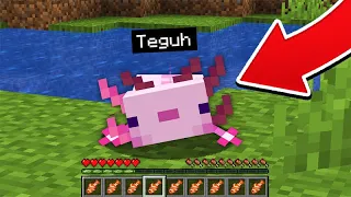 MINECRAFT TAPI AKU DIKUTUK JADI AXOLOTL !!