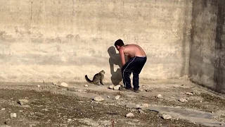 Rescate de un gato montes super cabreado de una balsa