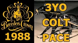 1988 Breeders Crown - Camtastic - 3YO Colt Pace