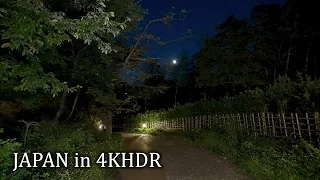 4K・ Going wild in night Noborito・4K HDR