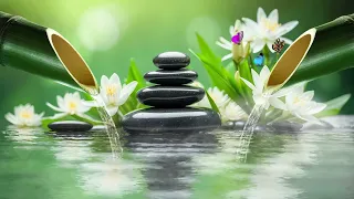 Relaxing Music to Rest the Mind - Yoga, Sleep + Music for Meditation, Relax Sleep Music, Zen, Water