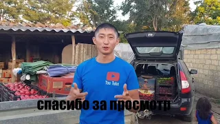 Полный ОТЧЁТ. 1 АВГУСТА. Теплицы без купюр😀.