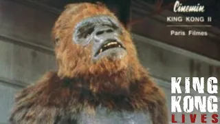 King Kong Lives [1986] - Lady Kong Screen Time
