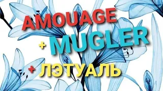 MUGLER, AMOUAGE, ЛЭТУАЛЬ. Подарила сама себе на 8 марта #parfum #духи #подарок