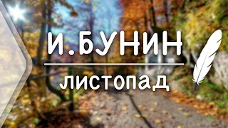 И. Бунин - Листопад...В полях сухие стебли кукурузы (Стих и Я)