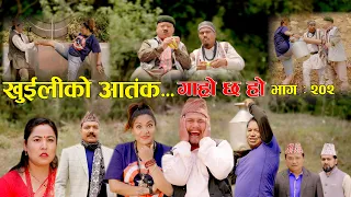 खुईलीको आतंक II Garo Chha Ho II Episode: 202 II May 13, 2024 II Begam Nepali II Karuna