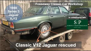 Jaguar Series 3 XJ12 rescue!