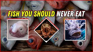 Fish You Should Never Eat #fisheating #fish