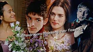 The Pendragons obsessing over flowers for 8 minutes bi