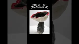 SCP-107 | The Turtle Shell (SCP Library)