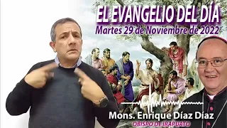 El Evangelio del Día | Mons. Enrique Díaz | 29 de Noviembre de 2022