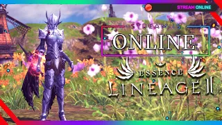 Ежедневные активности, стрим, ассасин lineage 2 essence л2