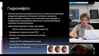 "Ультразвуковая диагностика аномалий почек" ч.2