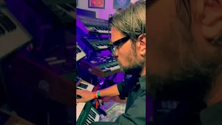 Rodriguez Jr. - Amplify - Studio Jam