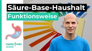 Säure-Base-Haushalt: So funktioniert das Zusammenspiel in Deinem Körper 🩸 Christian Dittrich-Opitz