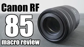 Canon RF 85mm f2 Macro REVIEW vs RF 1.2 vs EF 1.8 BEST for EOS R