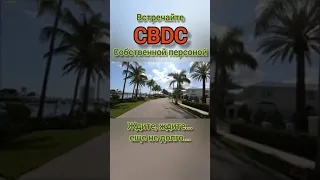 ЦИФРОВЫЕ ДЕНЬГИ CBDC С ДАТОЙ ОБНУЛЕНИЯ