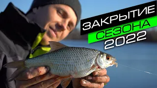 РЫБА КЛЮЁТ НА КАЖДОМ ЗАБРОСЕ / ФИДЕР НА МОСКВЕ - РЕКЕ / FROS FISHING