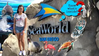 KNOW WHAT'S INSIDE OF SEAWORLD, SAN DIEGO - COMPILATION || My Life in USA
