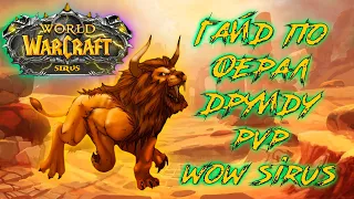 Новейший Гайд по Ферал друиду PVP! WoW Sirus 8 сезон!