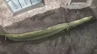 AIRSPADE & INSTALLING A ROOT BARRIER