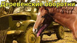 Страшная история про деревенского оборотня ведьму