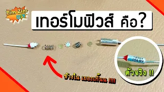 เทอร์โมฟิวส์ คืออะไร ? เทอร์โมฟิวส์ ทําหน้าที่อะไร ? (Thermal Fuse )