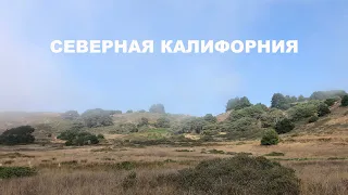 ВЛОГ | СЕВЕРНАЯ КАЛИОРНИЯ | САНТА РОЗА | ДОЛИНА СОНОМА |ОКРУГ МЕНДОСИНО