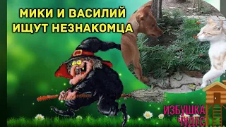 Баба Яга и Друзья (Мики и Василий) 1 серия