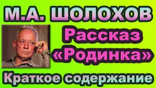 М.А. Шолохов. Рассказ «Родинка». Краткое содержание.