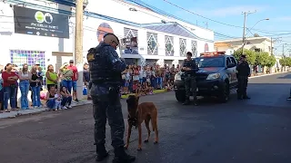 Desfile cívico 127 anos monte azul paulista