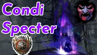 The BEST Roamer in the Game? Condi Specter Build/Guide (SotO)