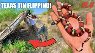 Finding RARE Snakes Under Collapsed Barns! Indigo, Mexican Milk, and More!