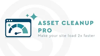 Asset CleanUp Pro: How We Use This Plugin To Speed Up Websites