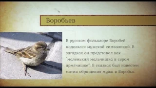 ИСТОРИЯ ОДНОЙ ФАМИЛИИ (ВОРОБЬЁВ)