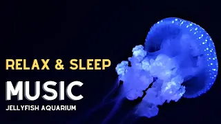 🟣 Jellyfish Aquarium with Relaxing and Sleep Music