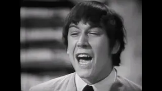 NEW * It's My Life - The Animals {Stereo} 1965