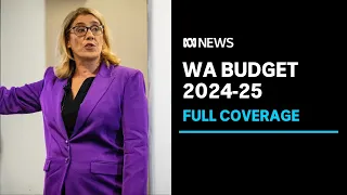 Unpacking the hits and misses of the 2024-25 WA state budget | ABC News