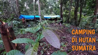 Camping di Hutan Sumatra