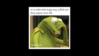 බුකියේ රස කතා, Bukiye Rasa Katha, Memes Sinhala, Bukiye athal today 2023/02/04 - POST 230 #shorts