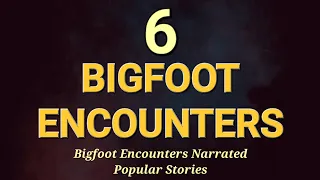 BEST OF BIGFOOT ENCOUNTERS NARRATED - POPULAR STORIES Volume 4