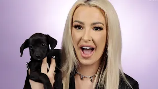 Tana Mongeau Plays With Puppies While Answering Fan Questions