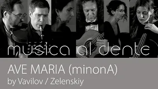 Ave Maria (minonA) – Вавилов/Зеленский