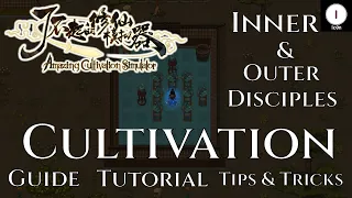 Basic Cultivation Tips & Tricks - Amazing Cultivation Simulator