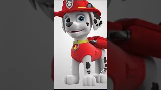 Paw patrol Edit