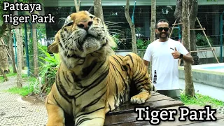 Pattaya Tiger Park | Playing With Real Tigers in 🇹🇭