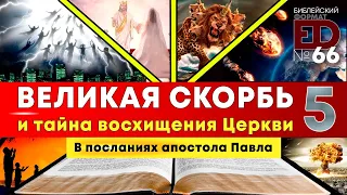 Великая Скорбь и Тайное Восхищение Церкви | Выпуск #66