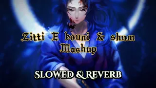 Måneskin, Go_A - Zitti E bouni & shum (Mashup) ✓[Slowed & Reverb]✓