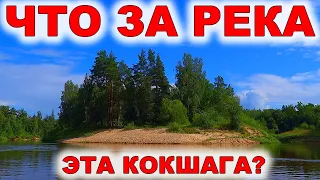 Лучшая река Марий Эл! Сплав на байдарке по реке Кокшага. Водный байдарочный поход от Старожильска