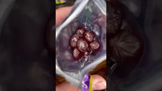 Viral Japanese Grape Gummy 🍇